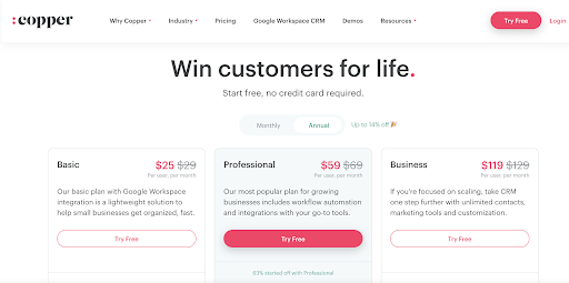 copper crm software pricing