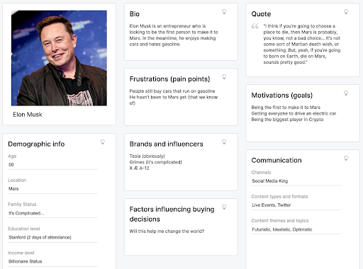 Elon Musk customer persona example