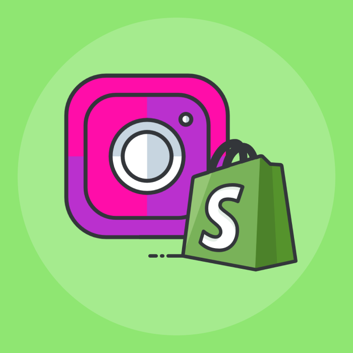 How To Add Instagram Feeds To Shopify? 