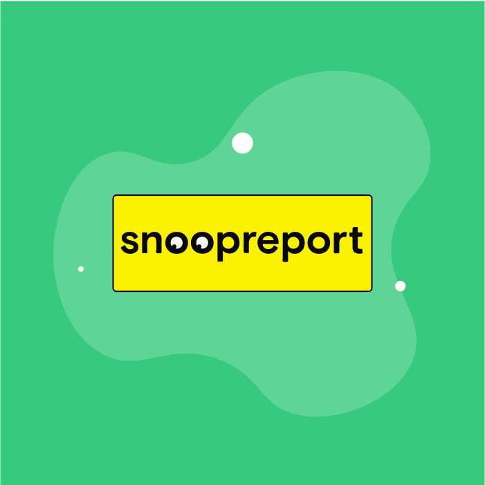 Snoopreport Review: Best Instagram Monitoring Platform 